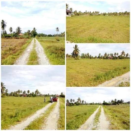 12575839_1213702711977700_368421634_n